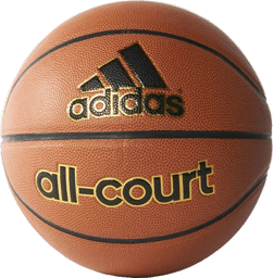 Zeige Details für All-Court Basketball Bild von All-Court Basketball