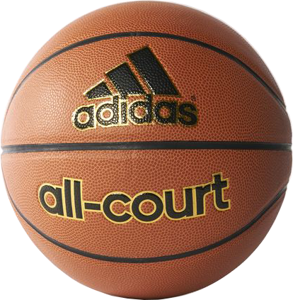 Imagen de All-Court Basketball