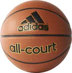 Bild von All-Court Basketball